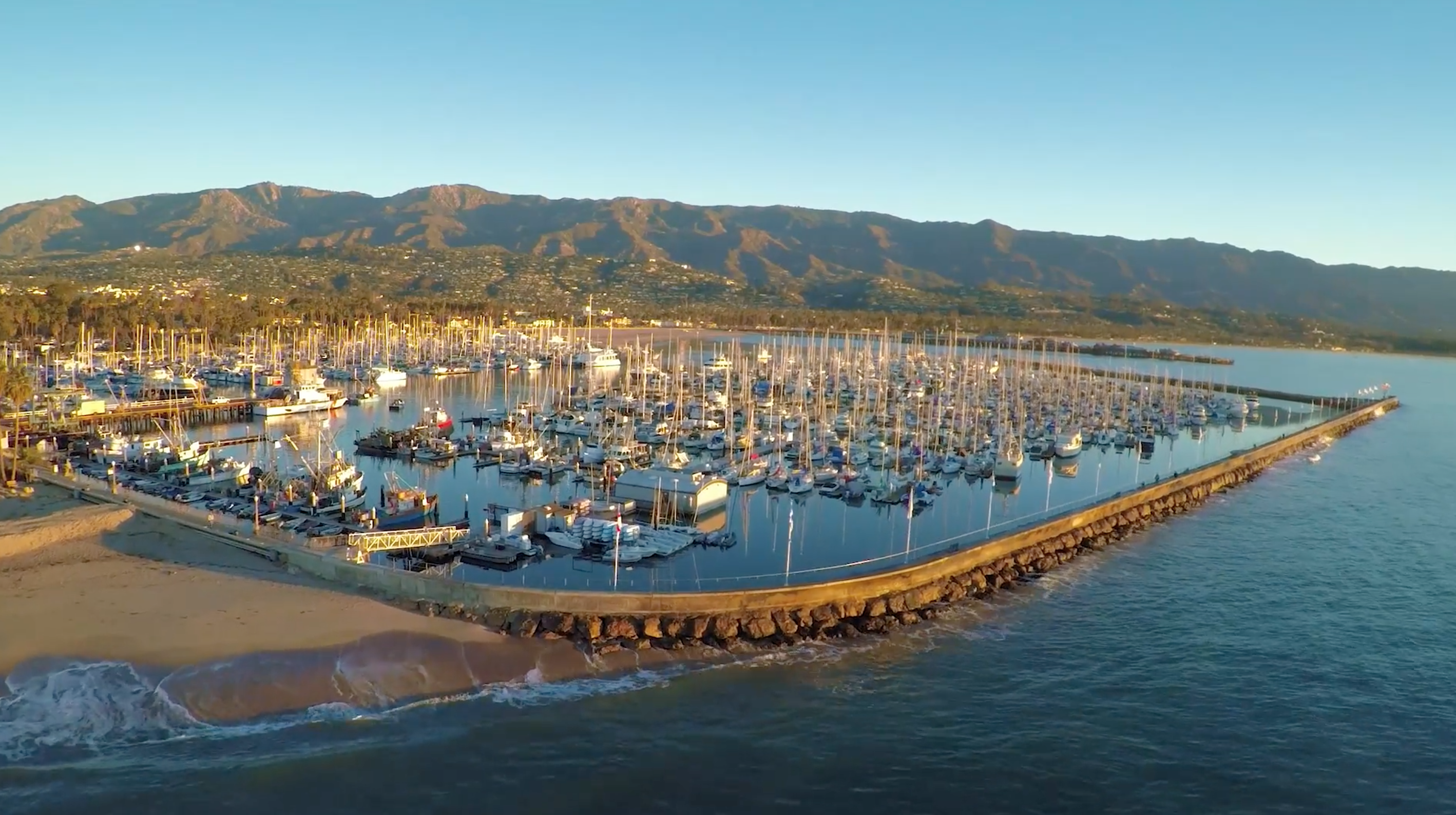 harbor full of boats